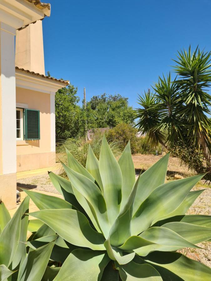 Casa dos Ventos Olhão Exterior foto